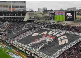 SAFiel: entenda o projeto bilionário que pode transformar o Corinthians em 2025 SAFiel entenda o projeto bilionário