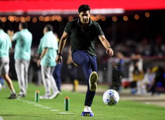 Abel Ferreira é punido com 8 jogos de suspensão no Brasileirão após expulsões Abel Ferreira é punido com 8 jogos de suspensão