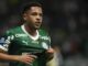 Cirurgia de Vitor Roque preocupa Palmeiras e é vista como “notícia péssima” por especialista Cirurgia de Vitor Roque preocupa Palmeiras