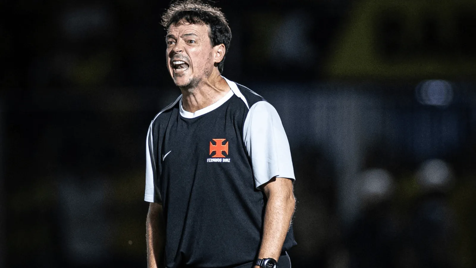 Corinthians acerta com Fernando Diniz