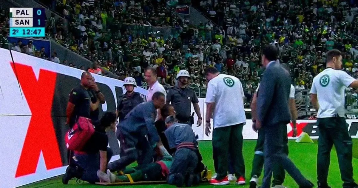 Palmeiras é denunciado no STJD por invasão de campo