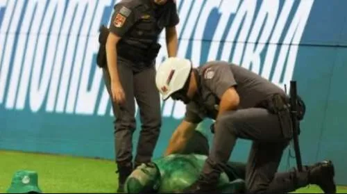 Palmeiras é denunciado no STJD por invasão de campo