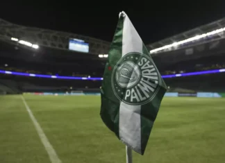 Palmeiras é denunciado no STJD por invasão de campo e pode enfrentar punições no Brasileirão Palmeiras é denunciado no STJD por invasão de campo