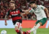 STJD denuncia jogadores e clubes após confusão em Flamengo x Palmeiras pelo Brasileirão STJD denuncia jogadores e clubes após confusão em Flamengo x Palmeiras